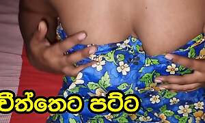 Sri Lankan Villange Unspecified Cheeththa Wearing Mating