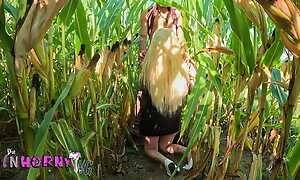 Blowjob upon the cornfield and haphazardly the whole load upon the face - attention, spectators! - Part 2 - the Einhorny-WG