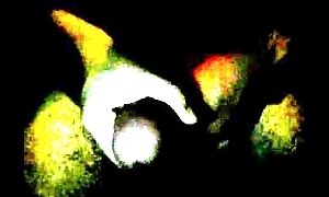 Masked Supplicant Masturbated - First Misusage On Webcam (Poor Quality)
