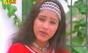 Kunwari Jawani Mallu Agile Videotape Hindi Dubbed Reshma, Sajini